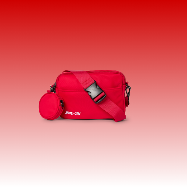 The Original eReader Belt Bag