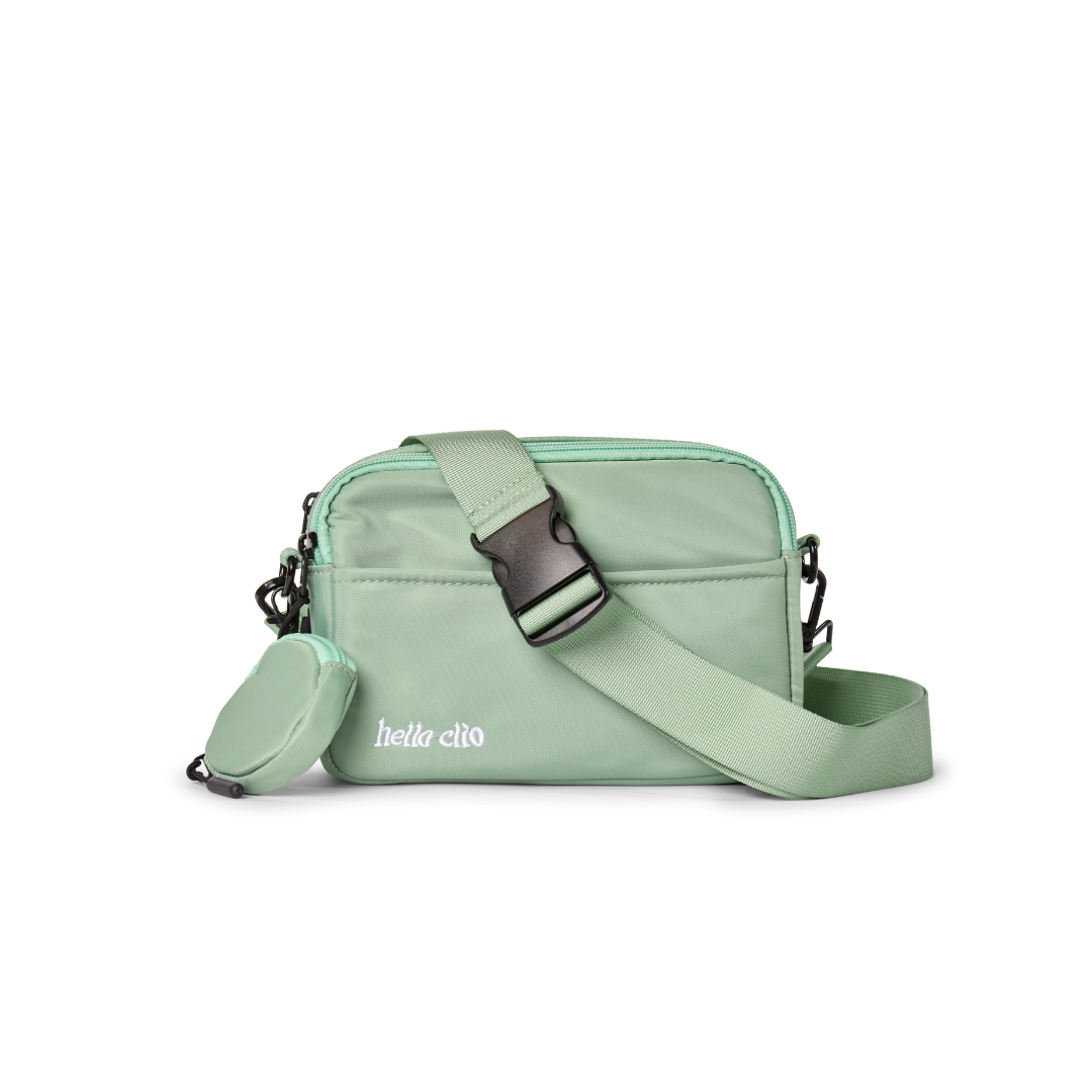 The Double Scoop eReader Belt Bag