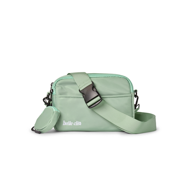 The Double Scoop eReader Belt Bag